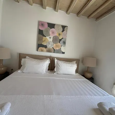 别墅 Alisahnea Mykonos *
