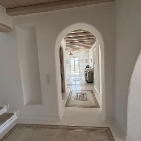 别墅 Alisahnea Mykonos