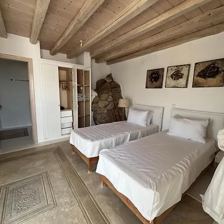 Alisahnea Mykonos 别墅